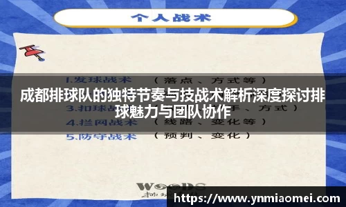 成都排球队的独特节奏与技战术解析深度探讨排球魅力与团队协作