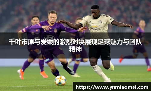 华体会体育网页版